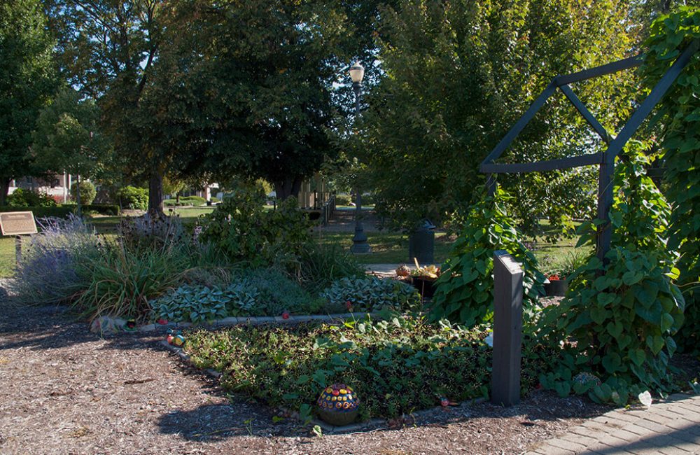 IGP1343_WarderPark_1-1000x650