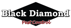 Black Diamond Pest Control